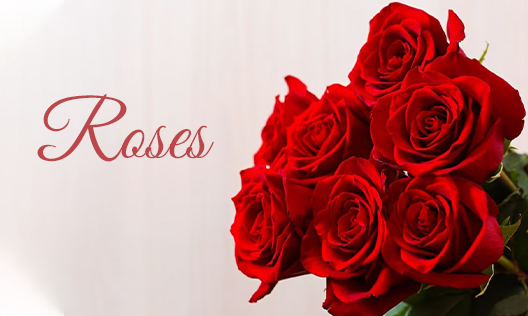 The Perfect Red Roses Flower of Love, Order Flowers Online India